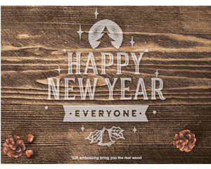 Trioflor Wishes You a Happy New Year!